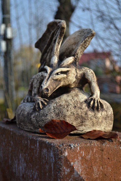 Drak — foto 2