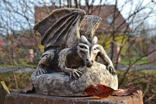 Drak — foto 5
