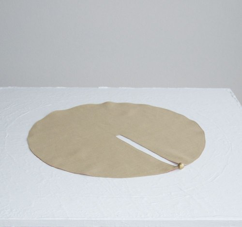 Dekorativní středovka-Gold point — foto 3