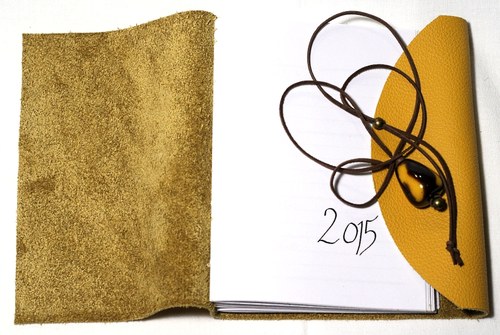 Diář Oberon 2015/2 — foto 3