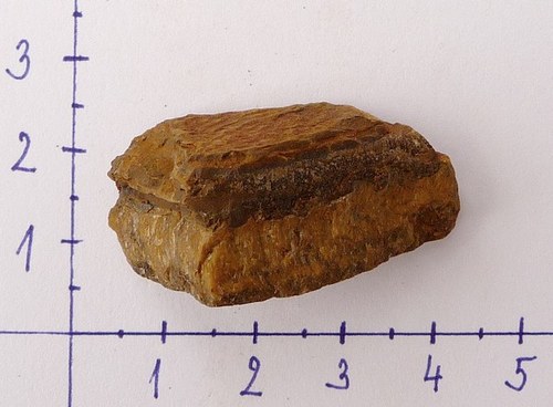 Tygří oko surové — foto 2