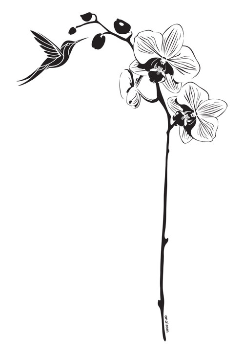 Orchidej - velikost M — foto 2