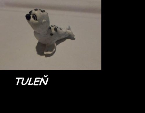 Fimo Tuleň — foto 2
