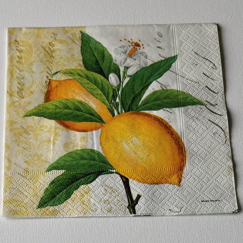 Ubrousek - Jahody a citrony — foto 2