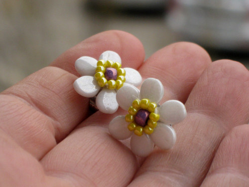 Pidikopretinky — foto 2