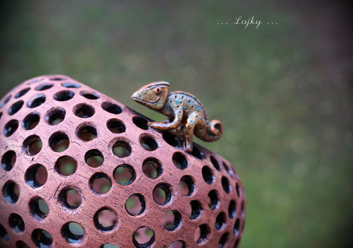 Chameleon... — foto 2