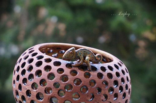 Chameleon... — foto 3