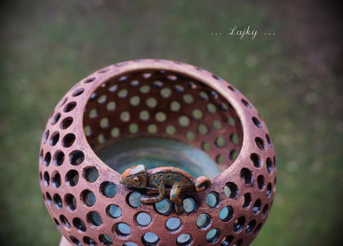 Chameleon... — foto 4