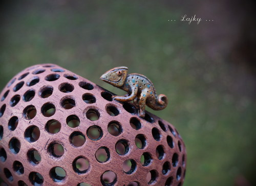 Chameleon... — foto 5