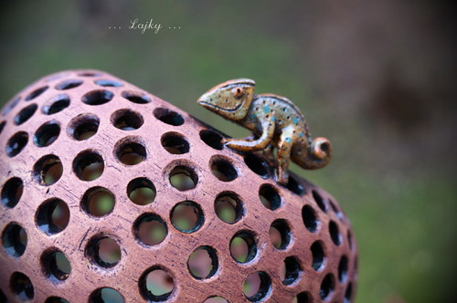 Chameleon... — foto 6