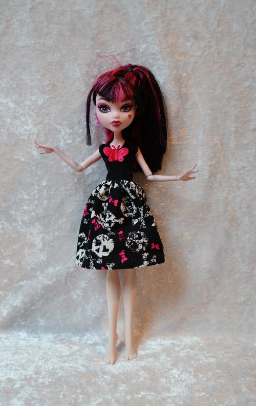 Na halloween párty pro Monster High — foto 3