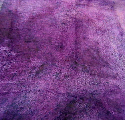 Africká Fialka — foto 3