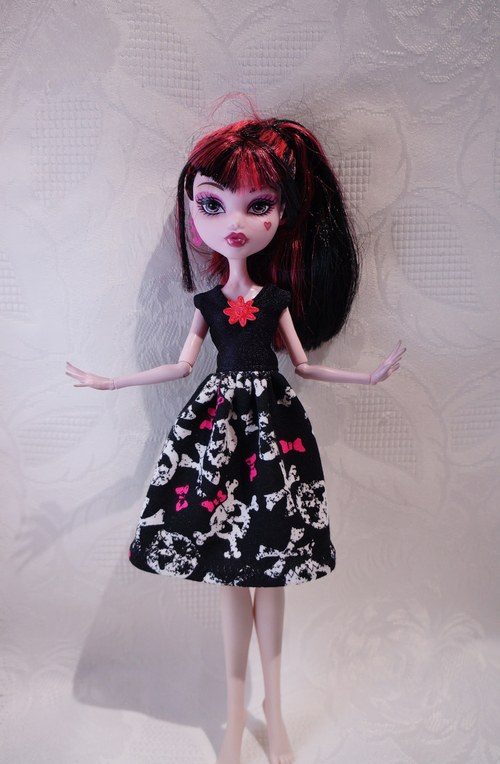 Na halloween párty pro Monster High — foto 2