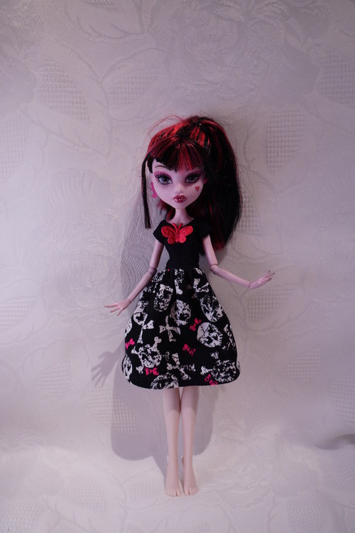 Na halloween párty pro Monster High — foto 2