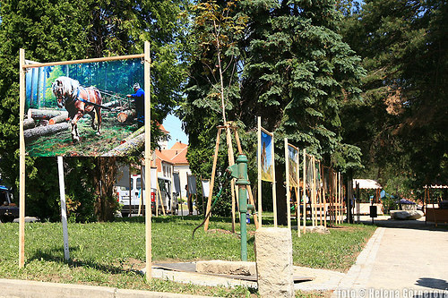 Malování světlem (FOTOPLACHTA) — foto 2