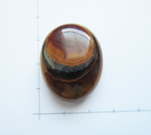 Tygří kůže 28x23x8 — foto 2