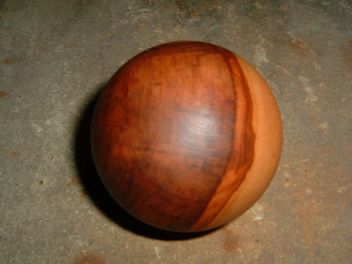 Jabloňová větší — foto 2