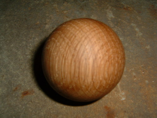 Menší dubová — foto 3