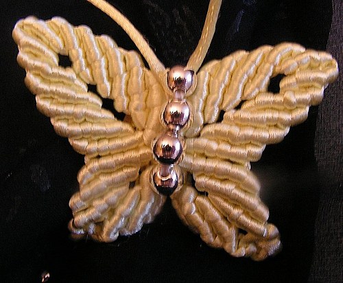 Motýli — foto 3