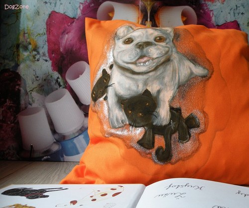 Frenchie z Orange County......polštářek 50% sleva — foto 5
