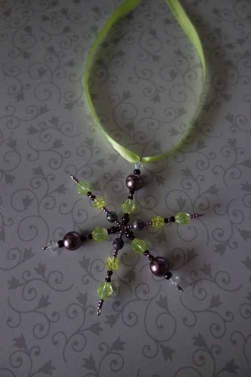 Vánoční hvězda II. — foto 2