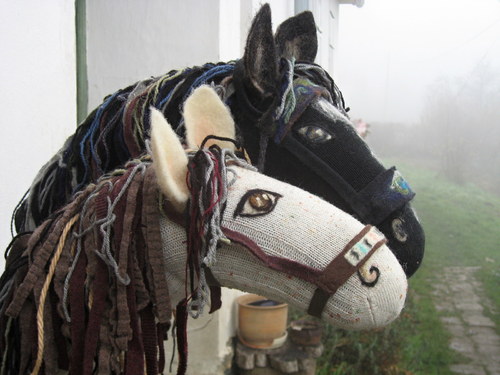 Rychlebští koně — foto 2