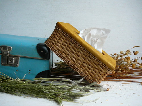 Kapesníkovník pinie — foto 3