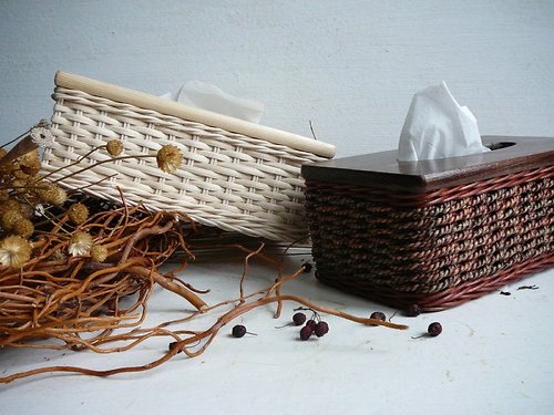 Kapesníkovník - přírodní — foto 3