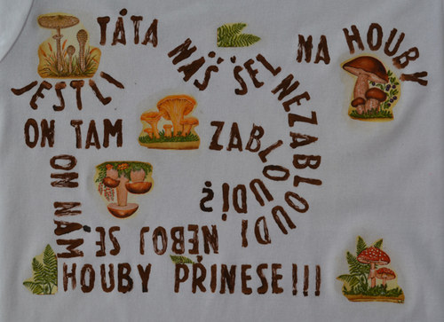 Táta náš šel na houby — foto 2