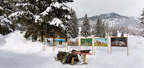 Vysočinou (FOTOPLACHTA) — foto 2