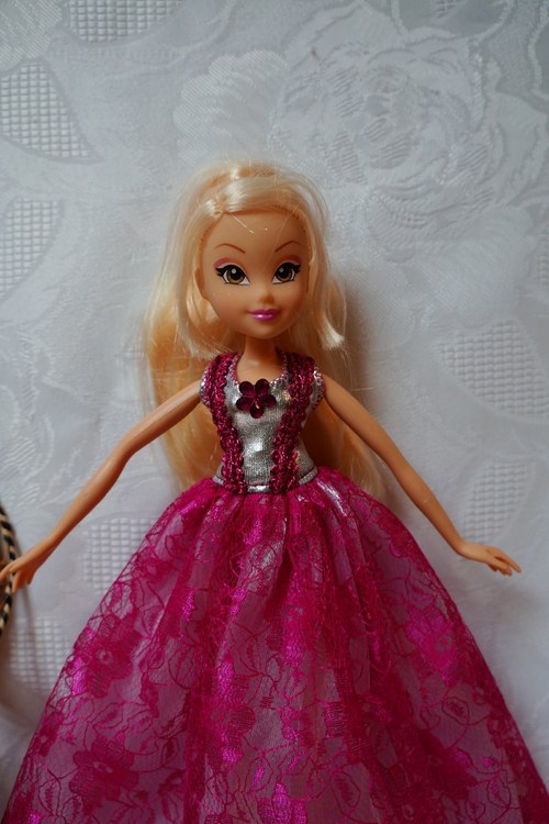 Winx je princeznou — foto 4