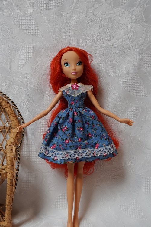 Modré šaty pro Winx — foto 2