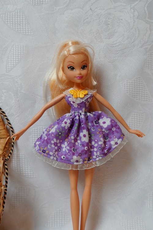 Krátké šaty pro Winx — foto 2