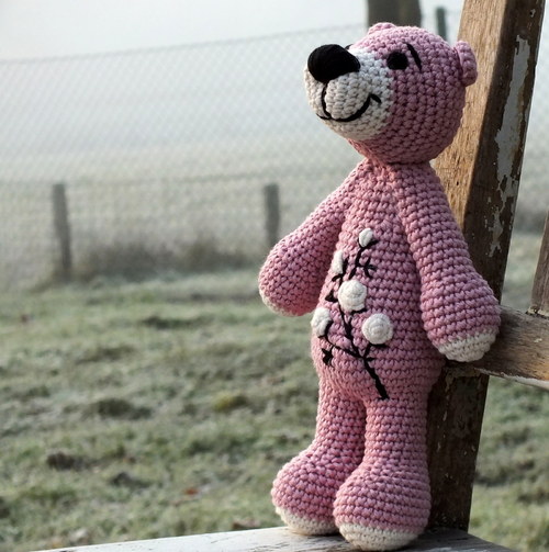 Medvídka Starorůžová... — foto 2
