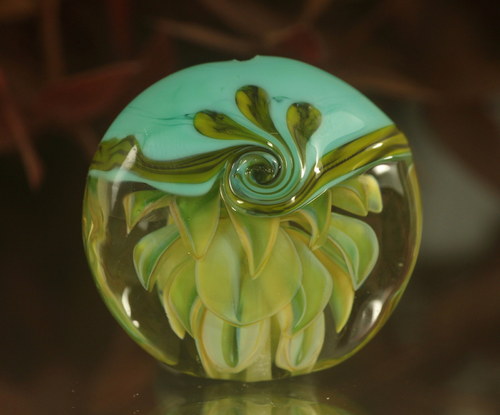 Agave — foto 4