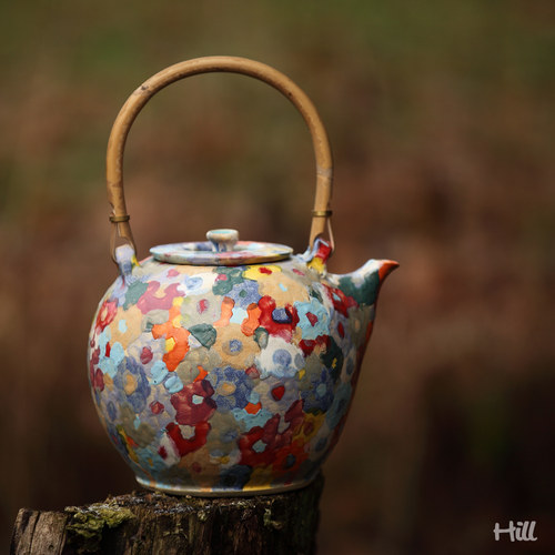 Dvoulitrovka luční — foto 2
