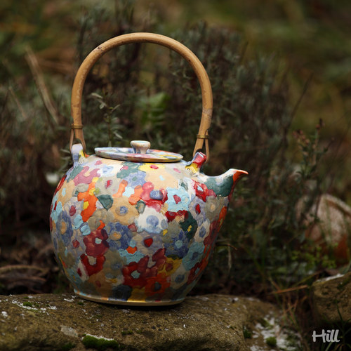 Dvoulitrovka luční — foto 3