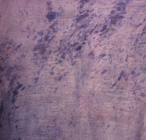Š E D O R Ů Ž O V Á — foto 2