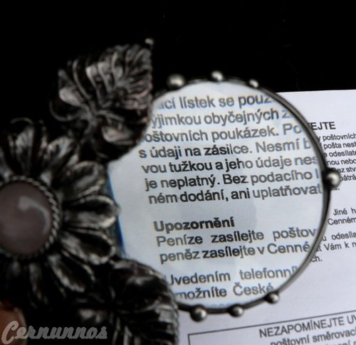 Na viděnou s růženínem — foto 5