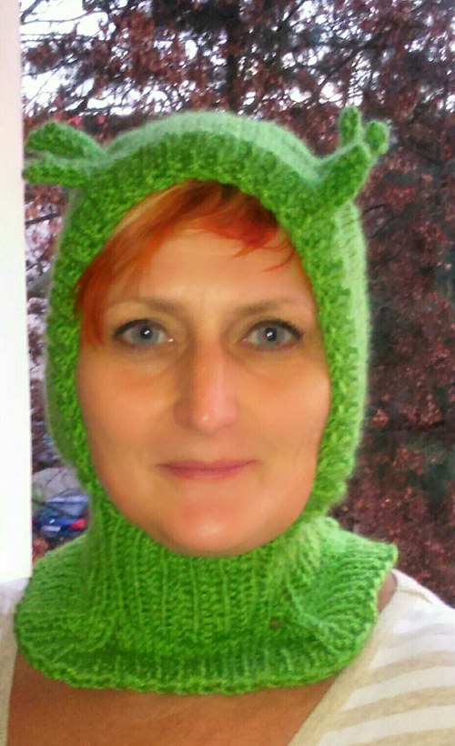 Zimní kukla Stegosaurus — foto 5