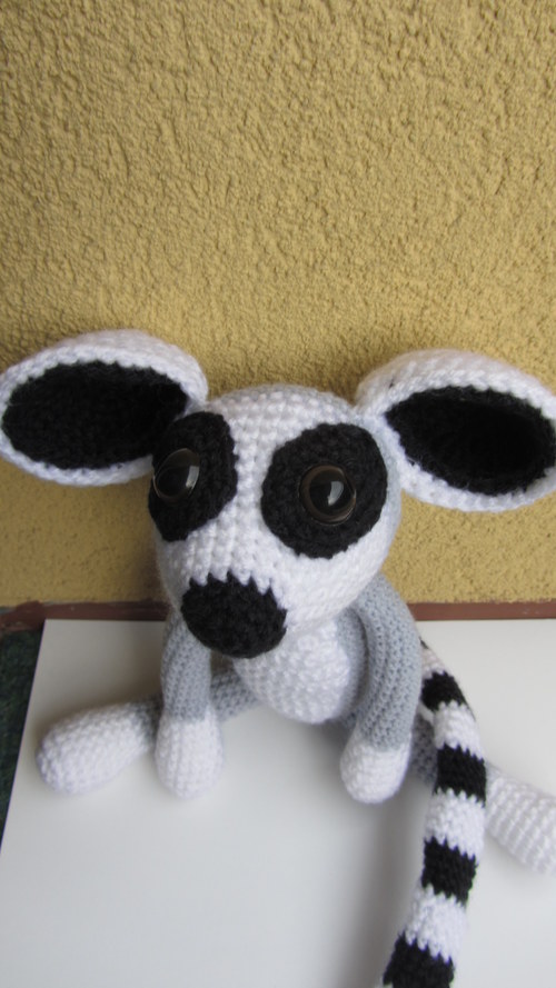 Lemur Kryštůfek — foto 3