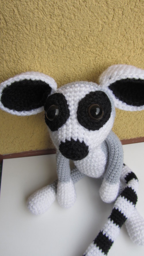 Lemur Kryštůfek — foto 4