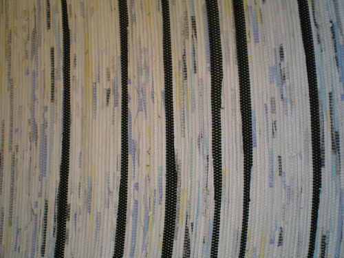 Skoro zebra — foto 3