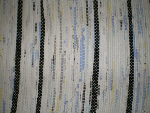 Skoro zebra — foto 4