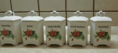 Kořenky - Růže oranžová — foto 3