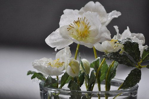 Vánoční dekorace ClearHelleborus — foto 2