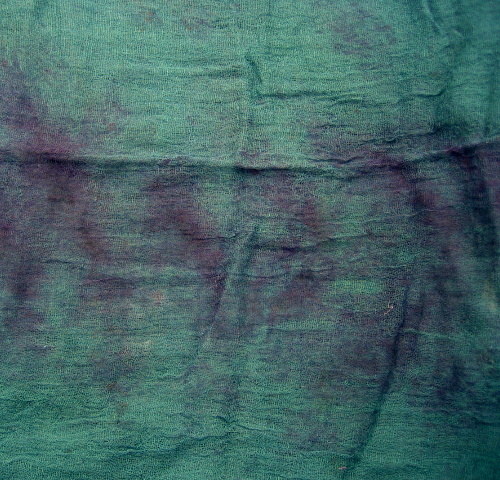 Zelená Petrolejová — foto 2