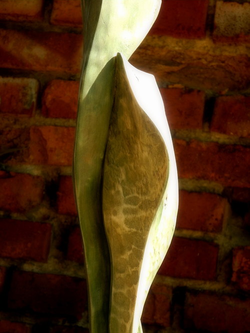 Propojení ... lípa, vitráž 45 cm — foto 2