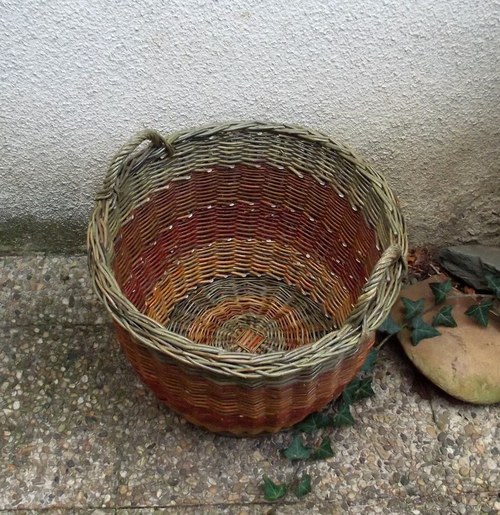 Přidávák baňatý — foto 2