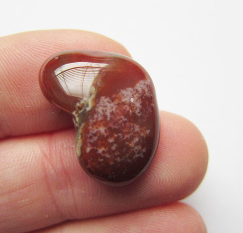 Sardonyx 22x16x7 — foto 2